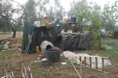 Terlizzi, animali denutriti
e senza «bollo»: sequestrati