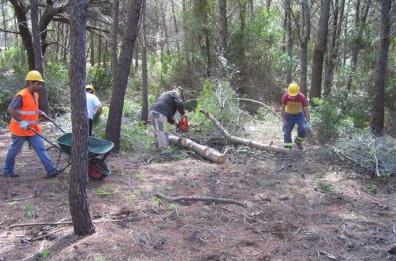 Riaprono i cantieri forestali
giornate confermate a tutti
