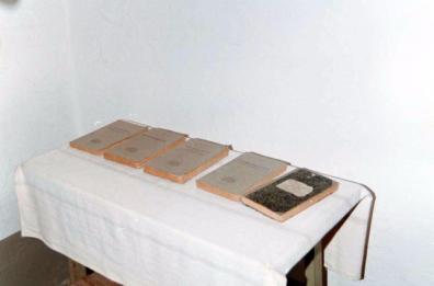 I quaderni di Gramsci a Bari
Vacca:  mito nella cultura italiana