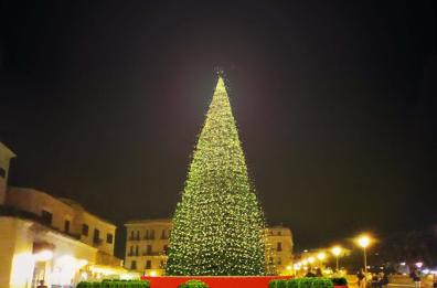 Bari, così il mega albero
illuminerà piazza Ferrarese