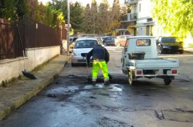 Trani, a fuoco l'auto
della consigliera Merra