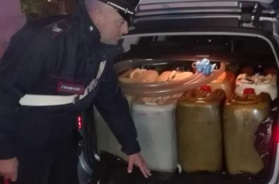 Pulsano, sorpreso a rubare
gasolio dai bus: preso 35enne