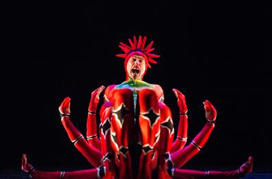I Momix tornano
al teatro Petruzzelli