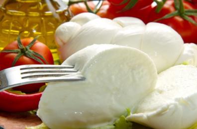 Gli alunni saranno i primi assaggiatori della mozzarella di Gioia del Colle Dop