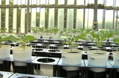 Metapontum Agrobios
un nuovo laboratorio
