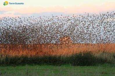Oggi è la Giornata mondiale della biodiversità, Legambiente: 10 regole per salvare la natura