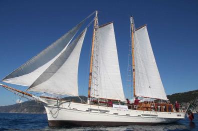 Museo navigante della Marineria
in arrivo a bordo della «Oloferne»