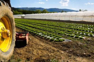 Basilicata, in arrivo 14mln
a 7mila imprese agricole