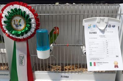 Coniugi canosini 
allevatori di pappagalli
«Campioni del mondo»