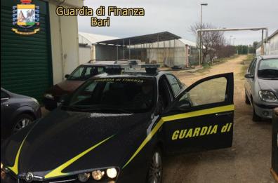 Ciccolella, dopo la bancarotta
l'accusa di truffa sul fotovoltaico
Sequestro beni per 8 milioni