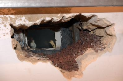 Bari, «buco» in gioielleria
passando dal fruttivendolo