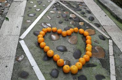 Terrarancia: l'evento che racconta il paese dell'amore
