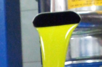 Ritorna il premio «Olivarum»
cresce l’olio lucano di qualità