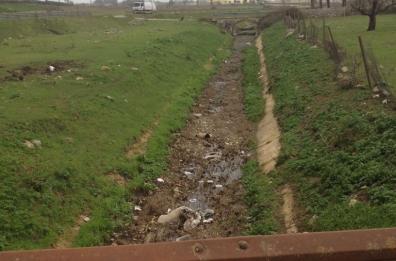 Il Canale Reale senz'acqua
Il Consorzio Arneo verifichi

