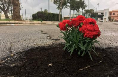 E dalle buche delle strade
spuntano garofani rossi