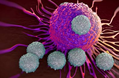 Puglia, ok Consiglio Regionale a ricerca su cancro colon-retto