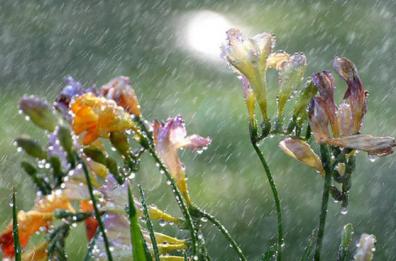 Meteo, coda di gelo
all'equinozio di Primavera