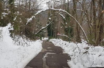 Monticchio sfregiato e abbandonato
chiesto lo stato di calamità naturale