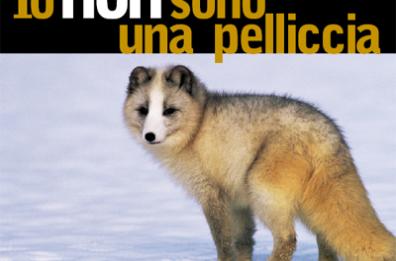 San Francisco dice
stop alle pellicce