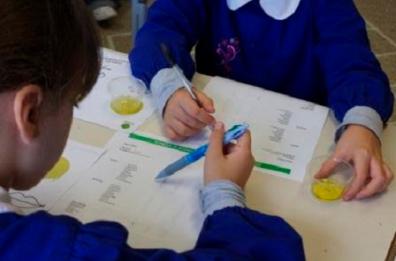 «Diplomati» 150 mini
assaggiatori di olio