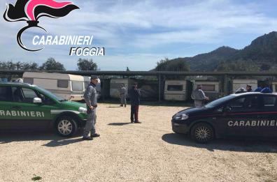 Mattinata, devastato il Parco
per un parcheggio abusivo