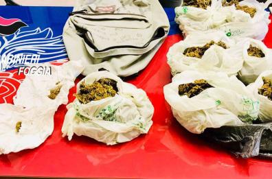 Vieste, in casa un chilo
di droga: in cella 19enne