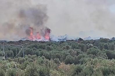 Fiamme a Villa Castelli, bruciati 90 ettari di macchia mediterranea fra Martina Franca e Grottaglie