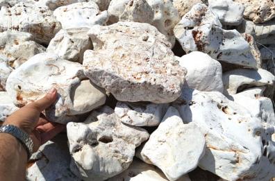 Piccoli fotografi in erba
alla scoperta del nostro
patrimonio geologico
