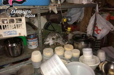 San Marco in Lamis, i formaggi fatti con gli animali infetti: denunciati 3 allevatori