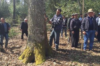 Con la scelta del Maggio
iniziano i riti arborei