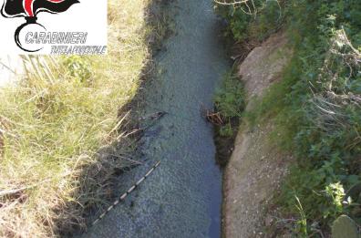 Policoro, liquami d'allevamento
nel fiume e 10mila mq di abusi