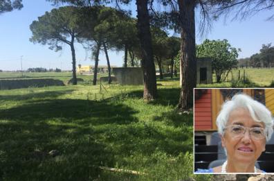 L'esperimento: un parco verde
 per valorizzare il Canale Reale?
