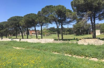 L'area adiacente il Canale Reale sulla quale potrebbe sorgere un parco a tema