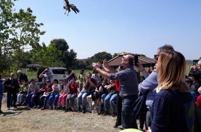 Rinati liberi, dall'Osservatorio di Bitetto di nuovo verso la natura