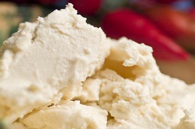 I cibi fermentati