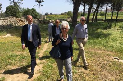 Un centro di ricerca sul plasma
nell'ex ospedale psichiatrico