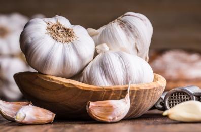 L'aglio: dall'antichità ai giorni nostri. 