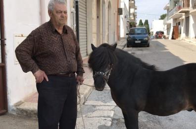 Il Tar di Lecce: il pony è un animale 
di compagnia e può stare in «casa»