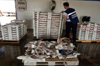 Pesce fresco ma senza «bollino» finisce nelle mense della Caritas
