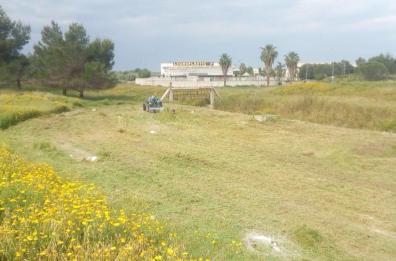 Al via i lavori del Canale Reale