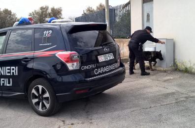 Poggiardo, coppia di pusher nascondeva in casa cocaina e marijuana: arrestati