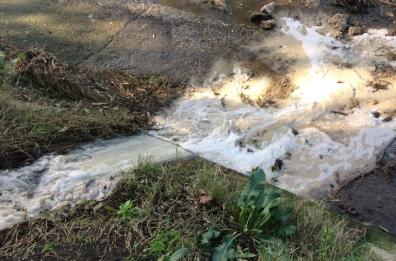 Scarichi abusivi nel Canale Reale scoperti e sequestrati dalla polizia ambientale di Brindisi