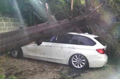 Lecce, tempesta nella notte: crolli, alberi caduti e strade interrotte