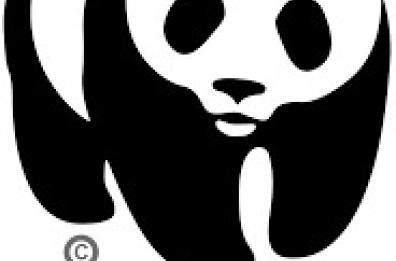 A Taranto si aprirà una sede regionale del «Wwf Italia»