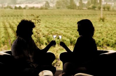 Vinarius: previsto un aumento delle vendite di vino fino al 18%