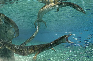 Fossile di lucertola preistorica scoperto a Nardò