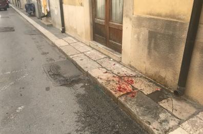 Cerignola, sparatoria in centro
gambizzati due vigilantes
