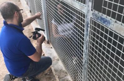 Contro l&rsquo;abbandono dei cani Decaro finisce in gabbia