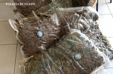 Ostuni, sequestrati 34 chili di marijuana «sottovuoto»
