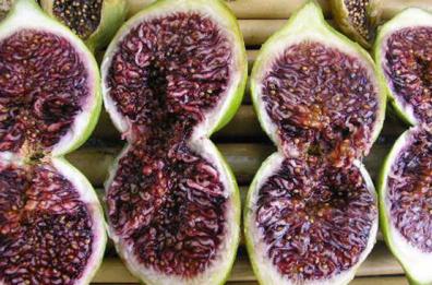 Fichi, arcobaleno di frutti estivi